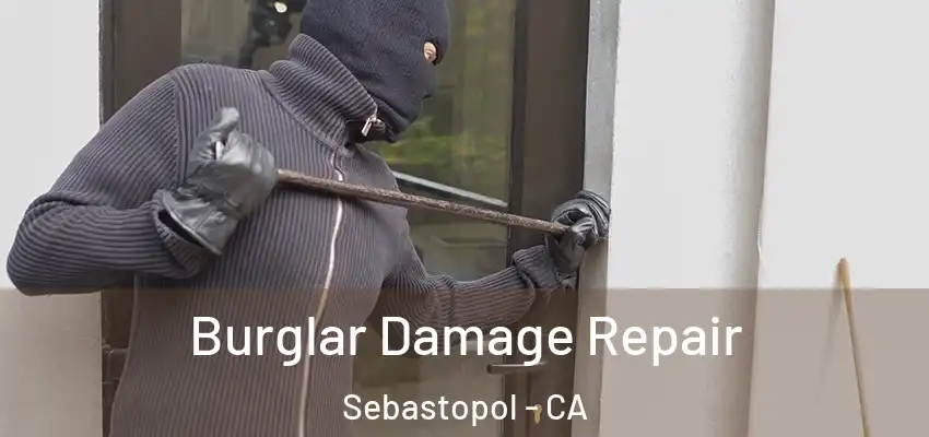  Burglar Damage Repair Sebastopol - CA